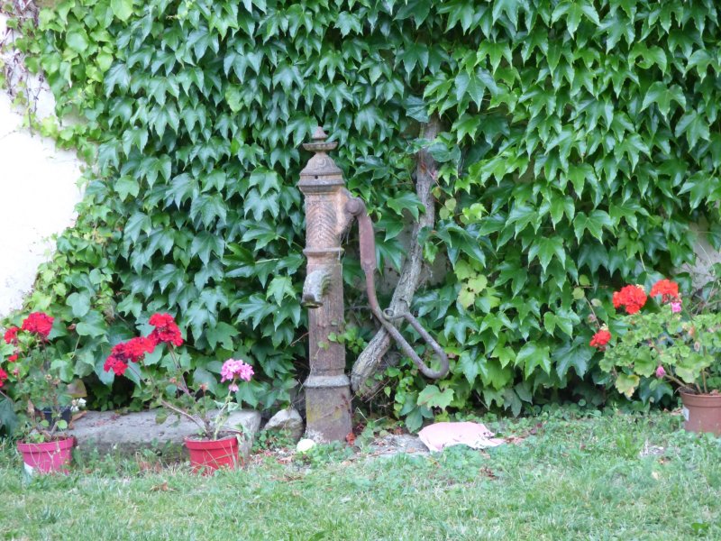 Le Manoir de Hauterive_89250 HAUTERIVE_21